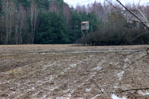 prawo łowieckie, gospodarka łowiecka, polowania, mkiś