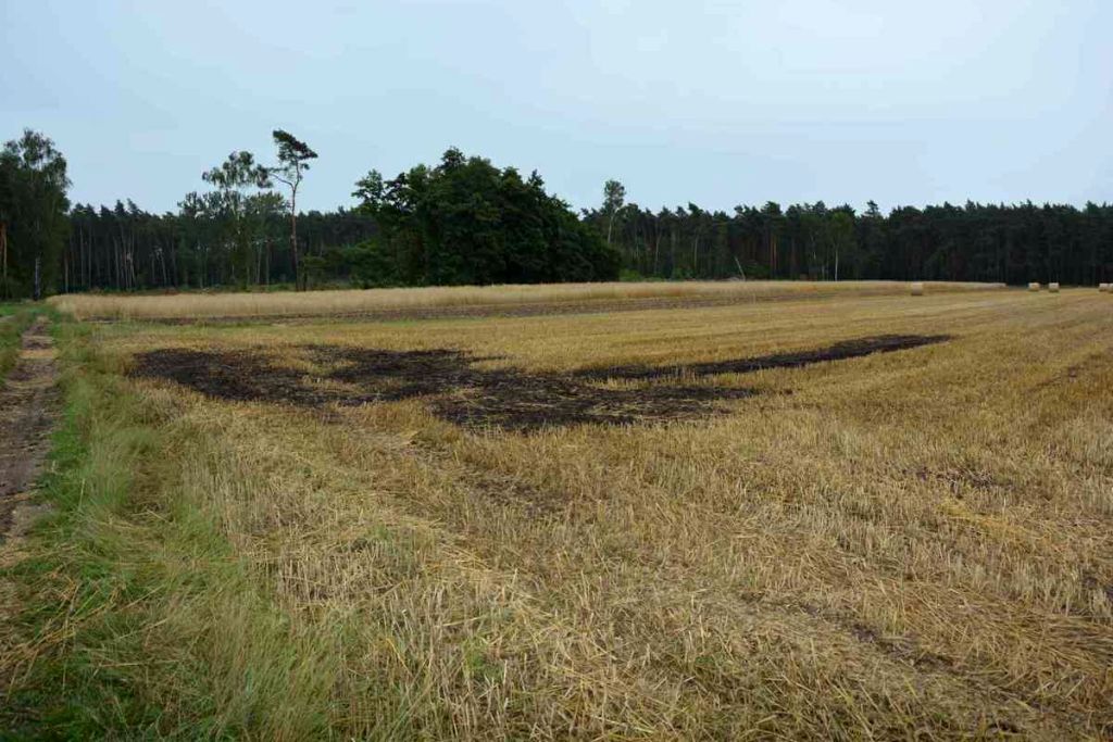 pożar, pole, zboże, ściernisko, podpalacz