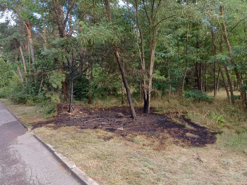 zatrzymanie, pożar, suche trawy, podpalacz