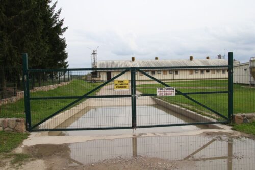 ASF, afrykański pomór świń, bioasekuracja, ogrodzenia, bramy, furtki, dezynfekcja, słoma, silosy, pasze, ARiMR