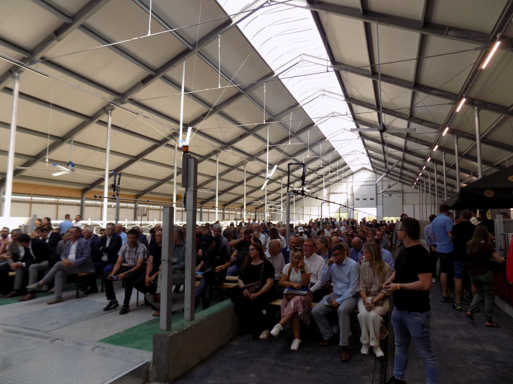 DeLaval, Fortune Cieszymowo, VMS v300, dój automatyczny, Maciej Baurycza, krowy mleczne, batch milking, dój grupowy