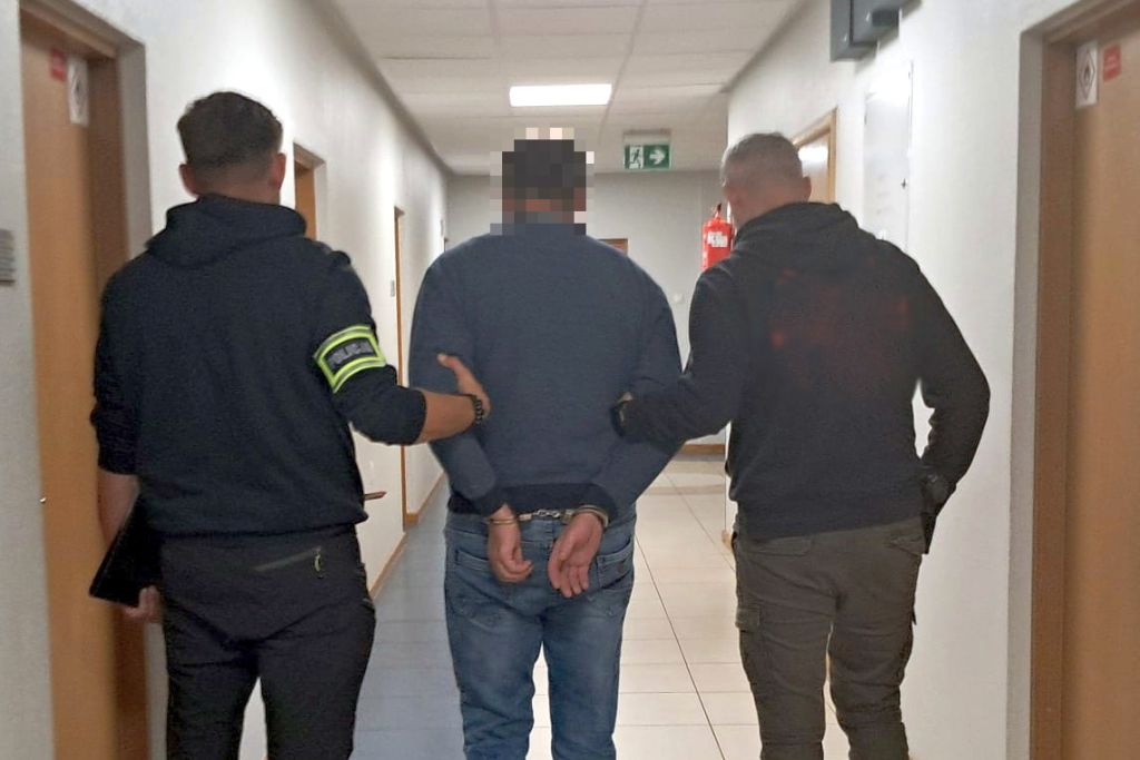 zatrzymanie, dzierżawa zwierząt hodowlanych, krowy mleczne, oszustwo