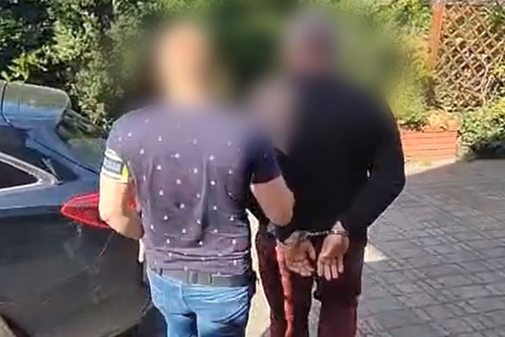 zatrzymanie, dzierżawa zwierząt hodowlanych, krowy mleczne, oszustwo