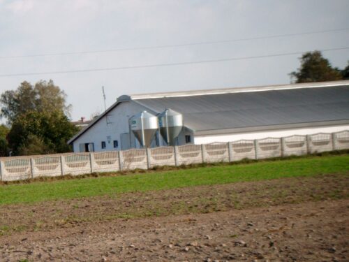 krir, zasiedlenie budynków, budynki inwentarskie, hodowla
