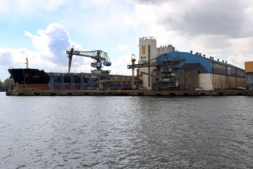 port gdynia, terminal zbożowy, przeładunki zbóż, eksport zbóż