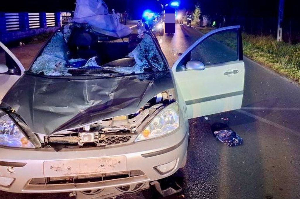 wypadek, auto, koń, śmierć kierowcy