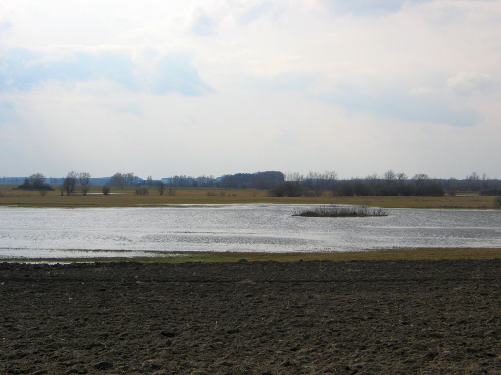przepisy, ustawa ps wpr, ps wpr, rząd