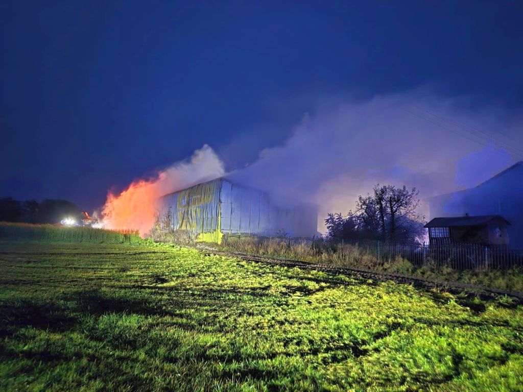 pożar, gospodarstwo, budynek gospodarczy, zwierzęta