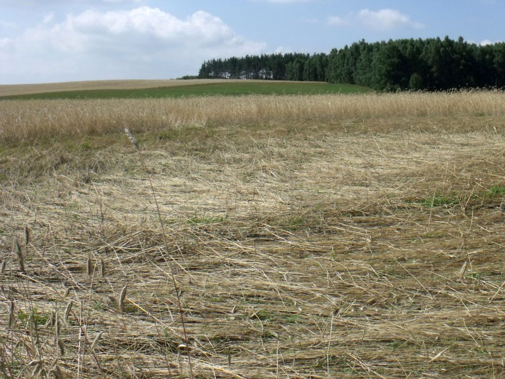 arimr, nabór, wnioski, pomoc klęskowa