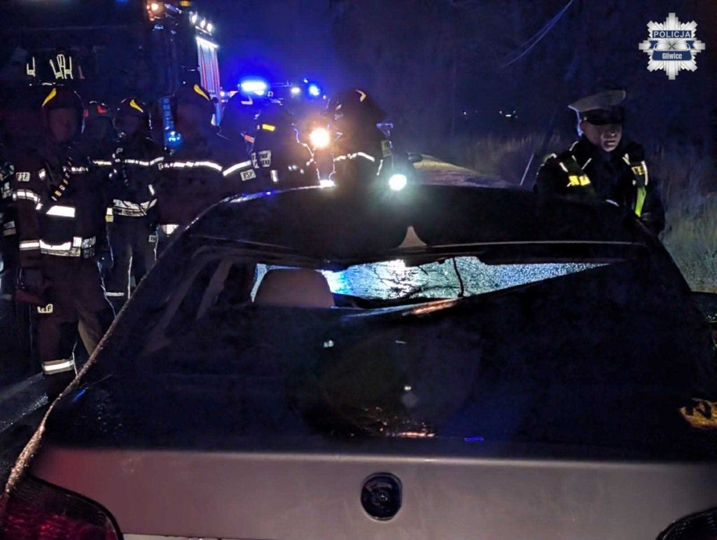 wypadek, potracenie, pieszy, ciągnik