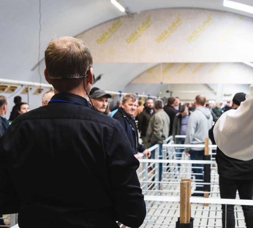 tuczarnia w hali łukowej, nowoczesna tuczarnia, hodowla trzody chlewnej, dobrostan zwierząt, Agrointegracja