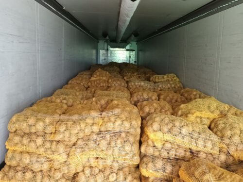 wir, ziemniaki, import ziemniaków, rynek ziemniaków