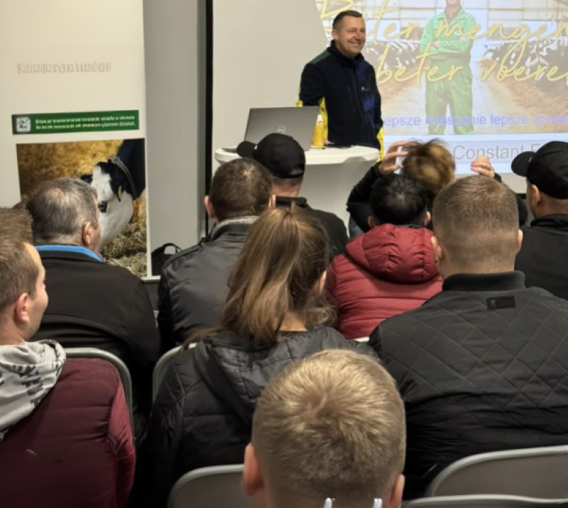Constant Feeding, Agrifirm Polska, żywienie krów mlecznych, TMR, stabilny żwacz, pasza dla bydła, wydajność mleka
