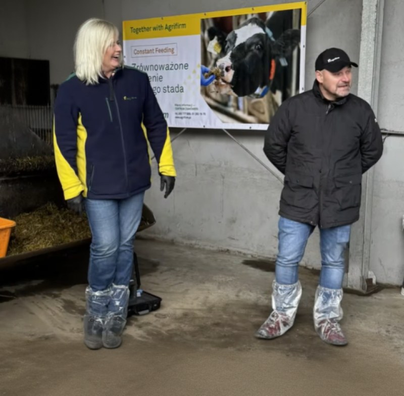 Constant Feeding, Agrifirm Polska, żywienie krów mlecznych, TMR, stabilny żwacz, pasza dla bydła, wydajność mleka