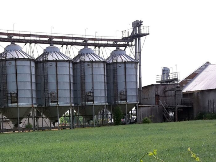 Rozkruszek mączny