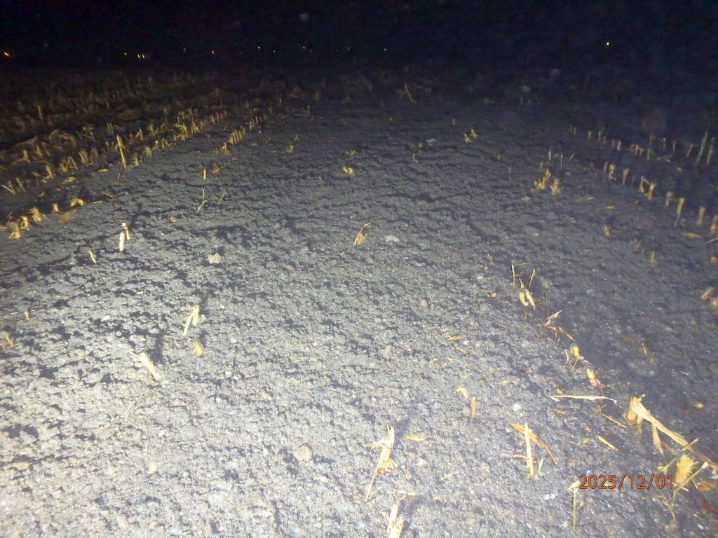 Podczas oględzin w miejscowości pod Poznaniem potwierdzono rozrzucanie na polu odpadów tworzyw sztucznych zmieszanych z ziemią przy użyciu maszyn rolniczych. Fot. WIOŚ Poznań