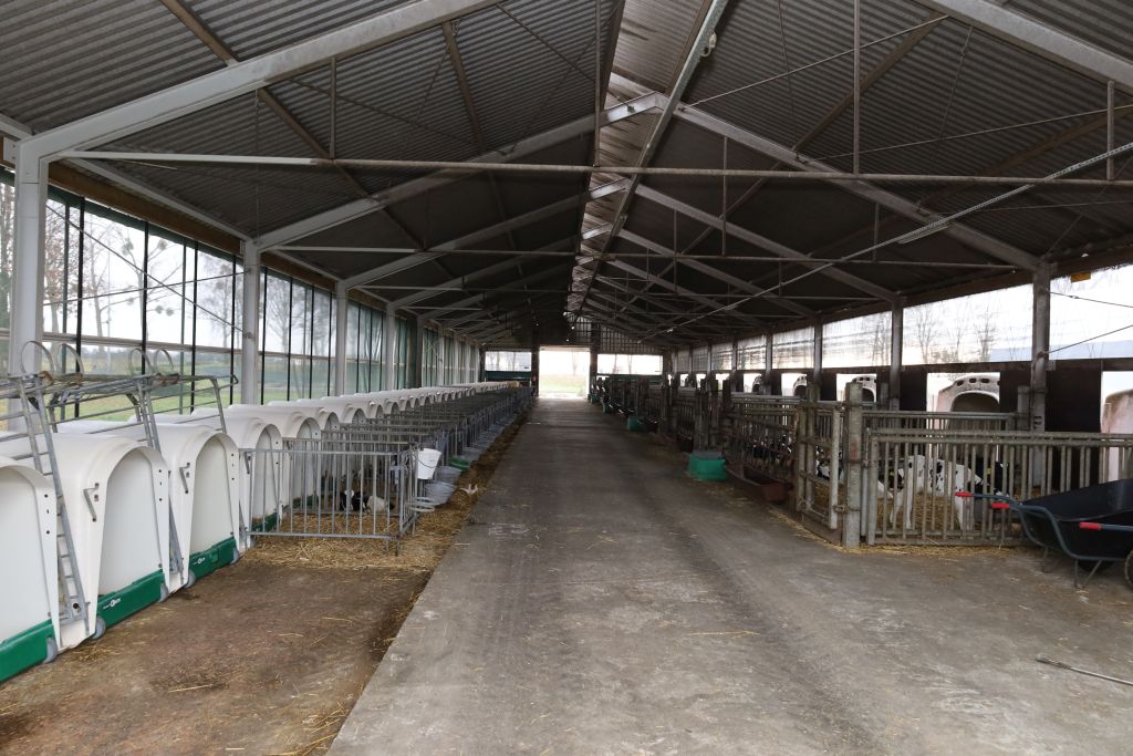 Wysoka wydajność krów mlecznych w HZZ Żołędnica