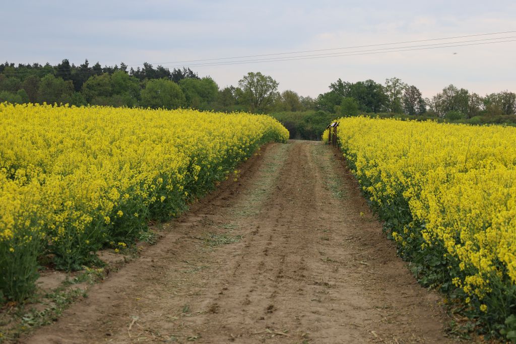 Warsztaty polowe Agrolok